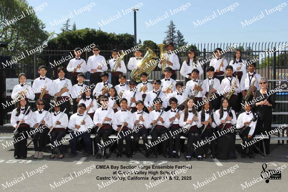 Musical Images